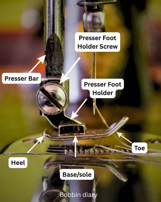 image explaining anatomy of presser foot in sewing machine labeling parts such as presser bar, holder screw, holder, heel, toe, base, etc.